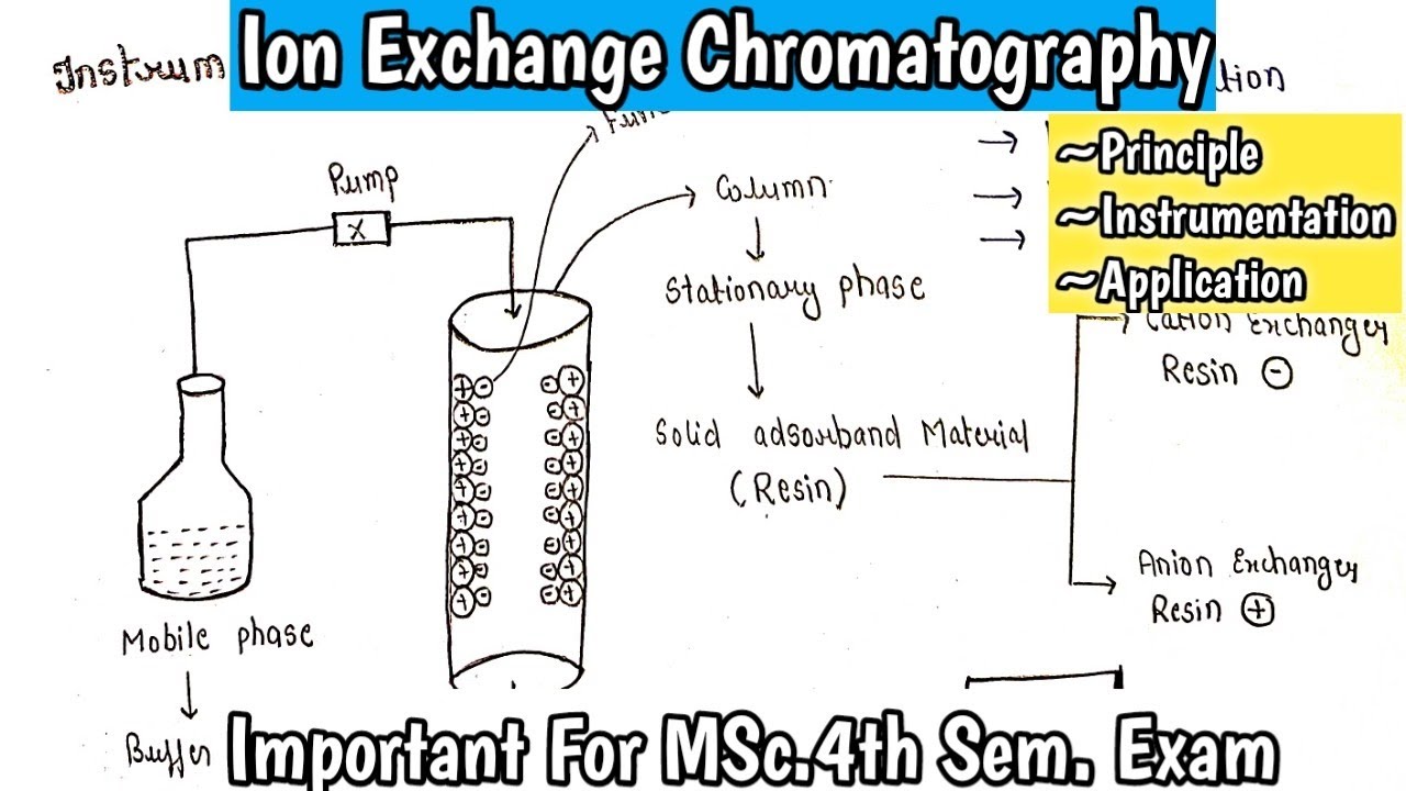 Ion Exchange Chromatography | Principle | Instrumentation |Application |MSc.4th Sem.|Handmade Notes|