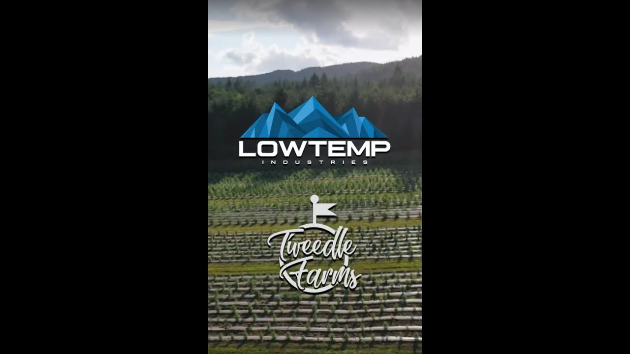 Tweedle Farms Hemp Wash - Sour G CBG Flower (8% Yield from Dry Flower to Hash).