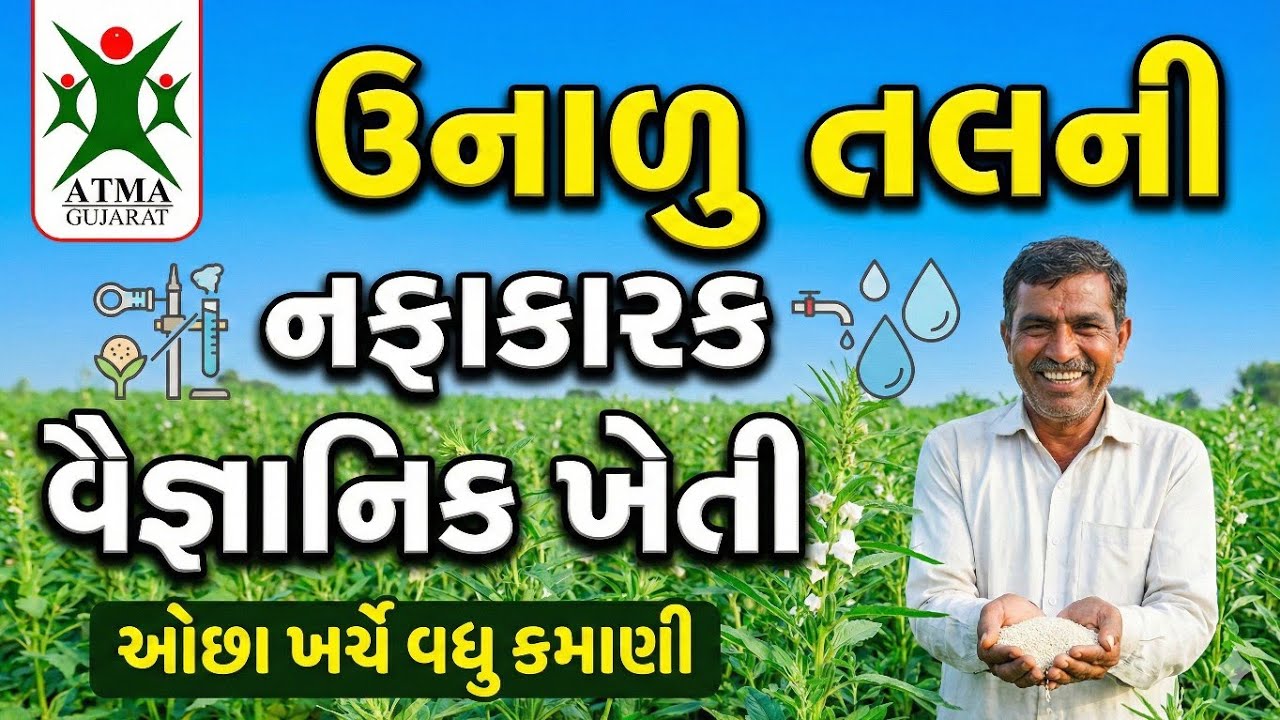 ઉનાળુ તલની નફાકારક વૈજ્ઞાનિક ખેતી પધ્ધતિ 