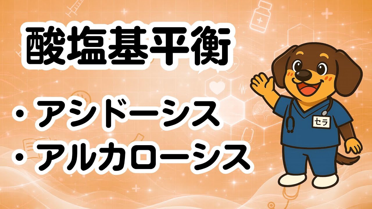 【酸塩基平衡】アシドーシス・アルカローシスを5分で整理｜呼吸と腎臓で考える4分類　　　　　　　　　　#国家試験対策#看護学生#PT学生#OT学生#医療系学生