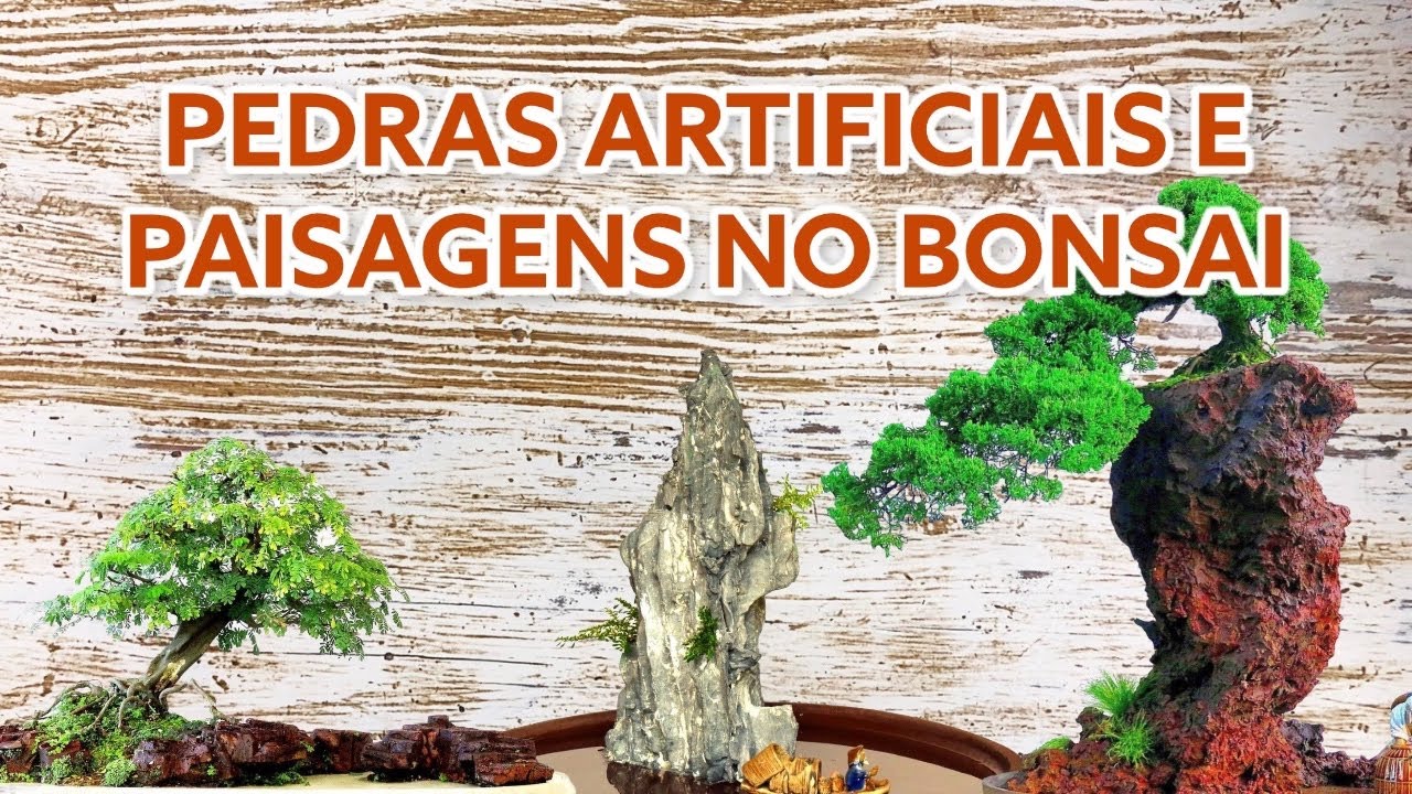 Como fazer pedra artificial e paisagens de Bonsai? Bergson Vasconcelos