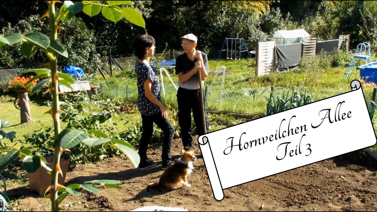 Hornveilchen Allee Teil 3