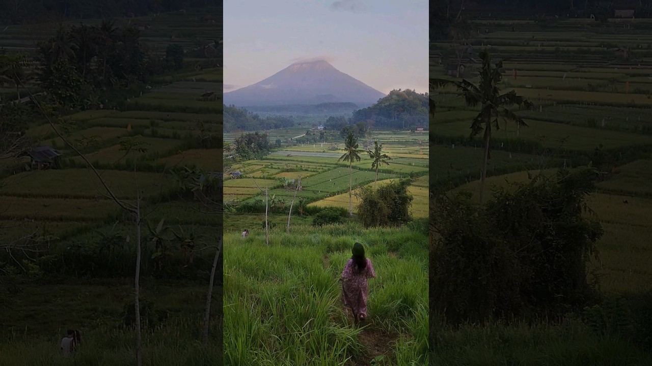 Bukit cinta Bali #bukitcinta #reels #reel #indonesia #bali #travel #ricefield #amazingview #mountain