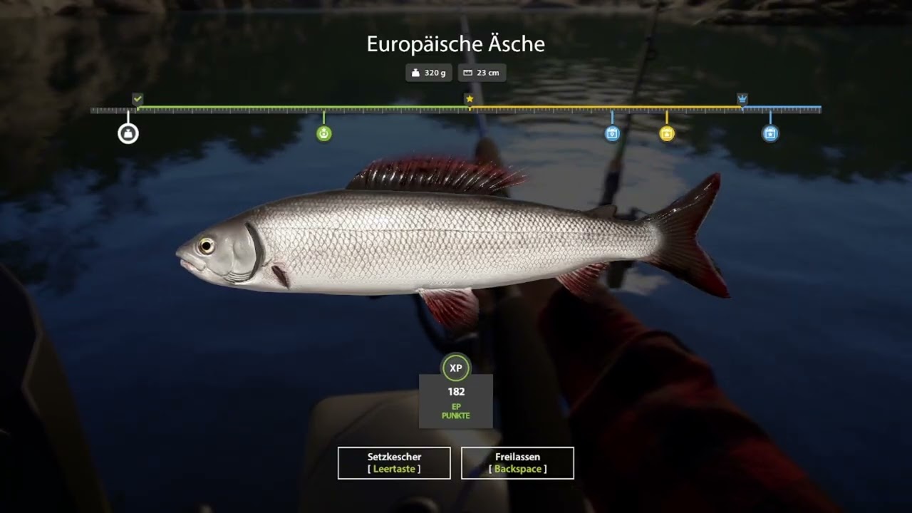 Schleppen am Kouri 