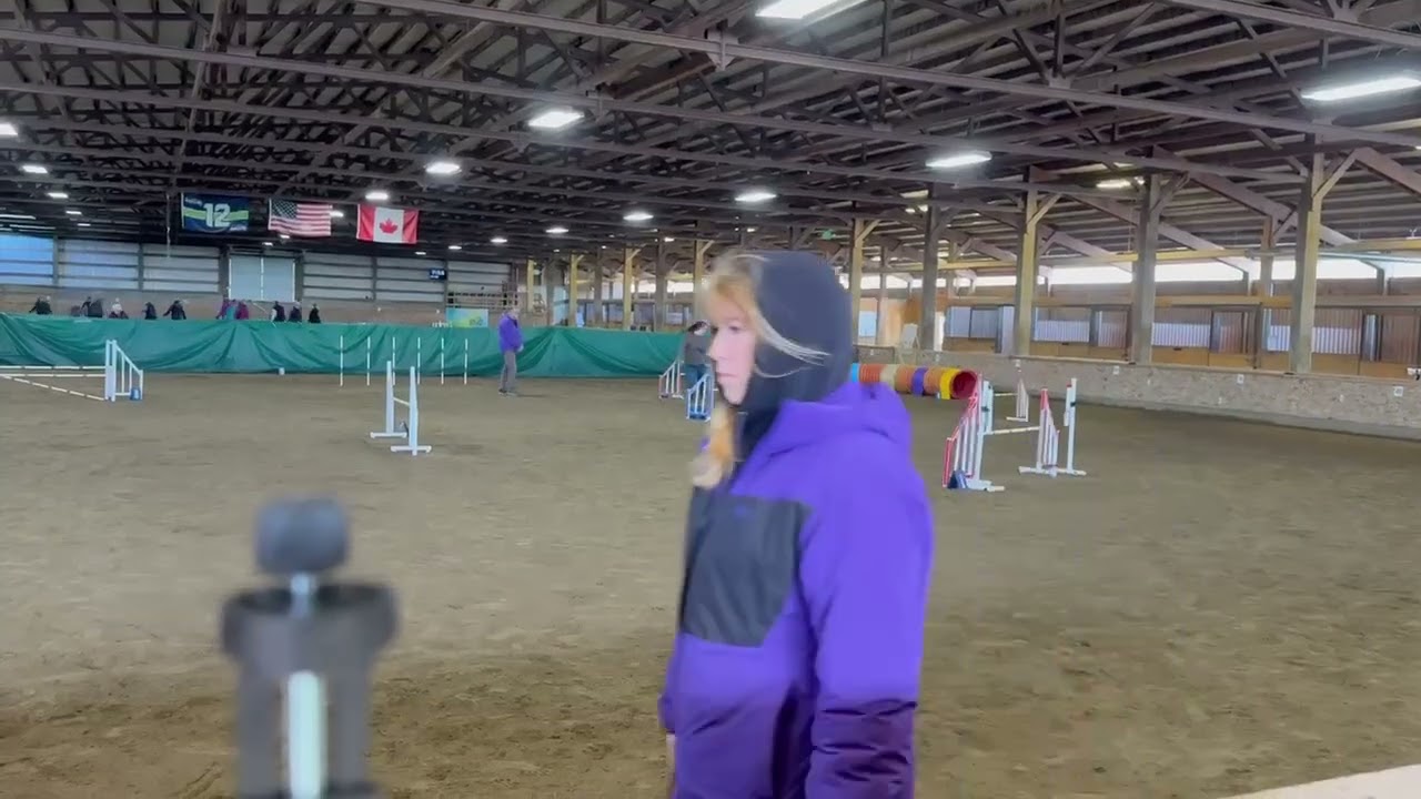 Irish Wolfhound Agility Novice Jumpers - Alloy