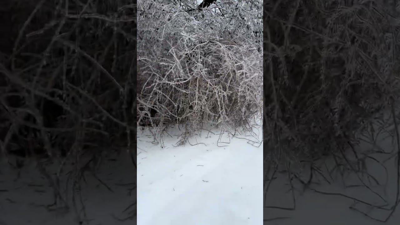 Frozen over Nashville, Bellevue area