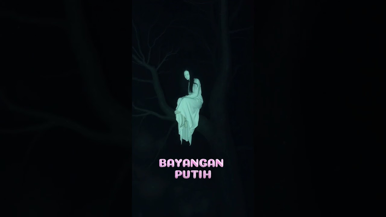 pohon beringin tua,di depan rumah yang sudah di tinggalkan 😱😱