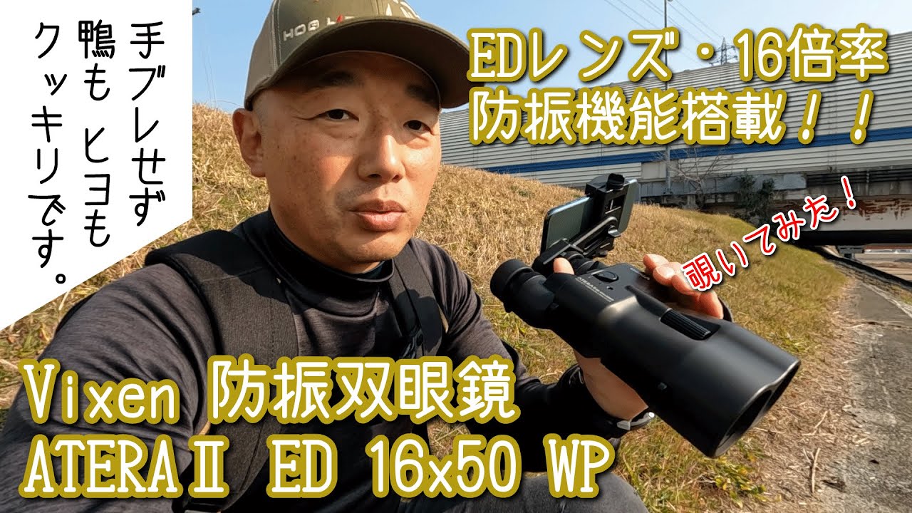 EDレンズ搭載 16倍率！ ハイスペック防振双眼鏡 Vixen ATERAⅡ ED 16x50 WP を覗いて、ブレないカモやヒヨドリを撮影しました。