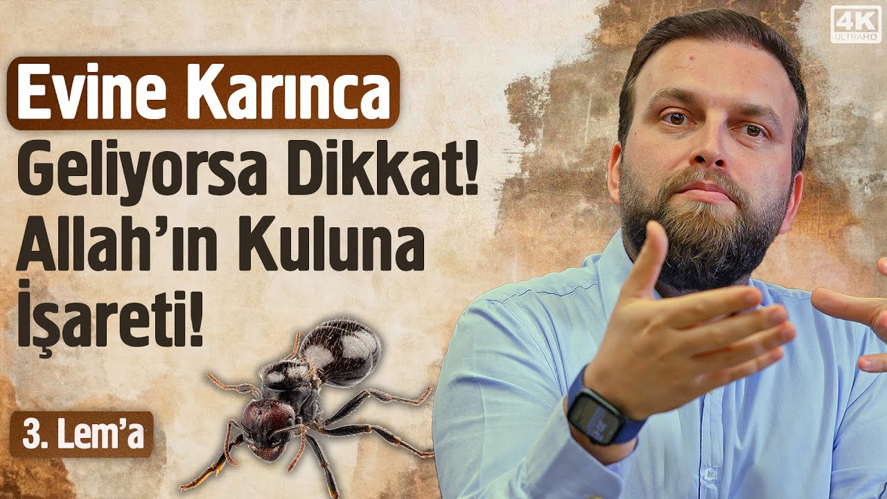 Evine Karınca Geliyorsa Dikkat! Allah’ın Kuluna İşareti! - 3. Lema - İhya | Fatih Ünal