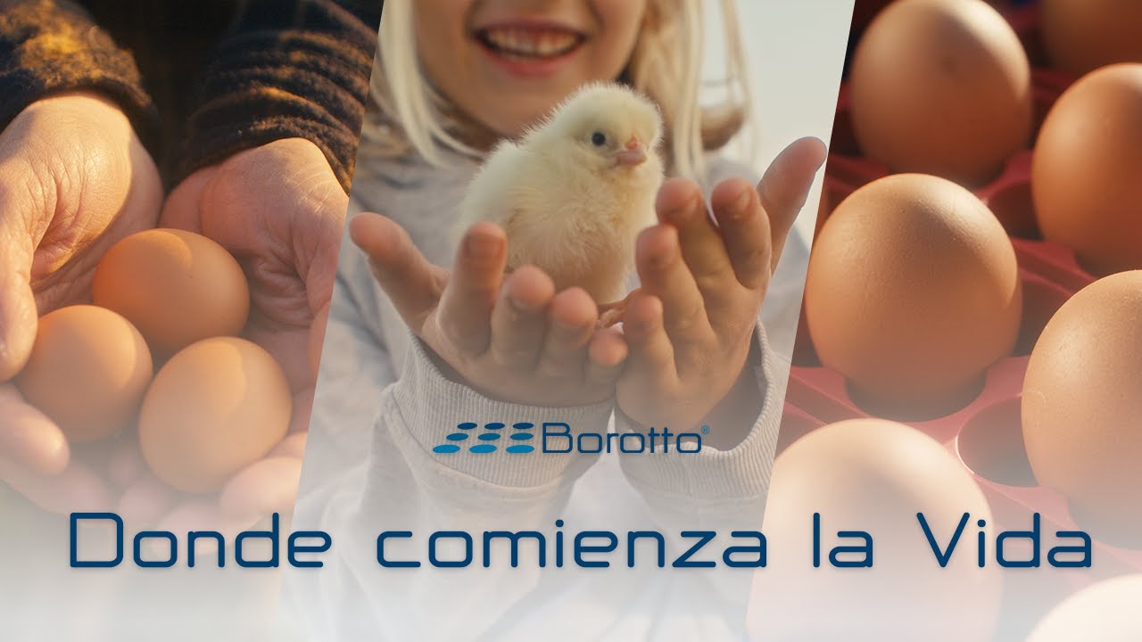 BOROTTO - El Guardián del Milagro de la Vida con Incubadoras Profesionales
