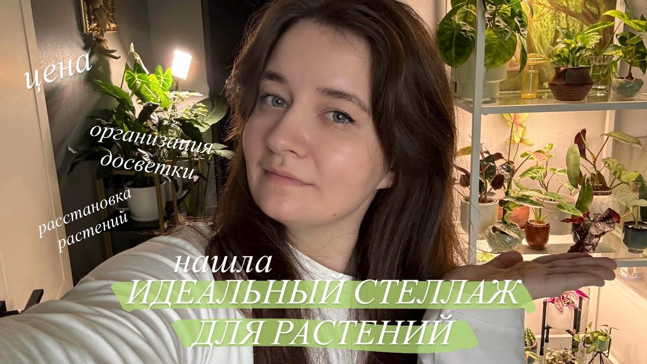 Организация стеллажа с Растениями || сколько стоит зелёная зона | новый стеллаж и лампы