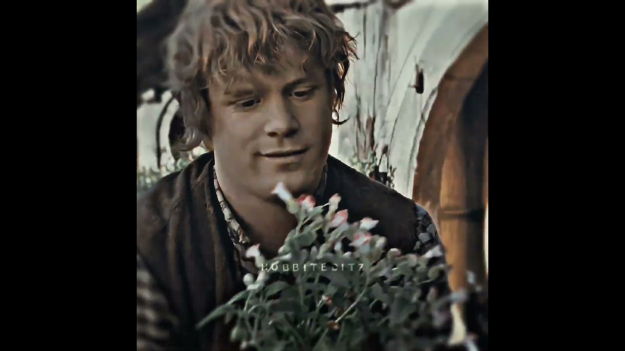 Samwise Gamgee edit || LOTR 