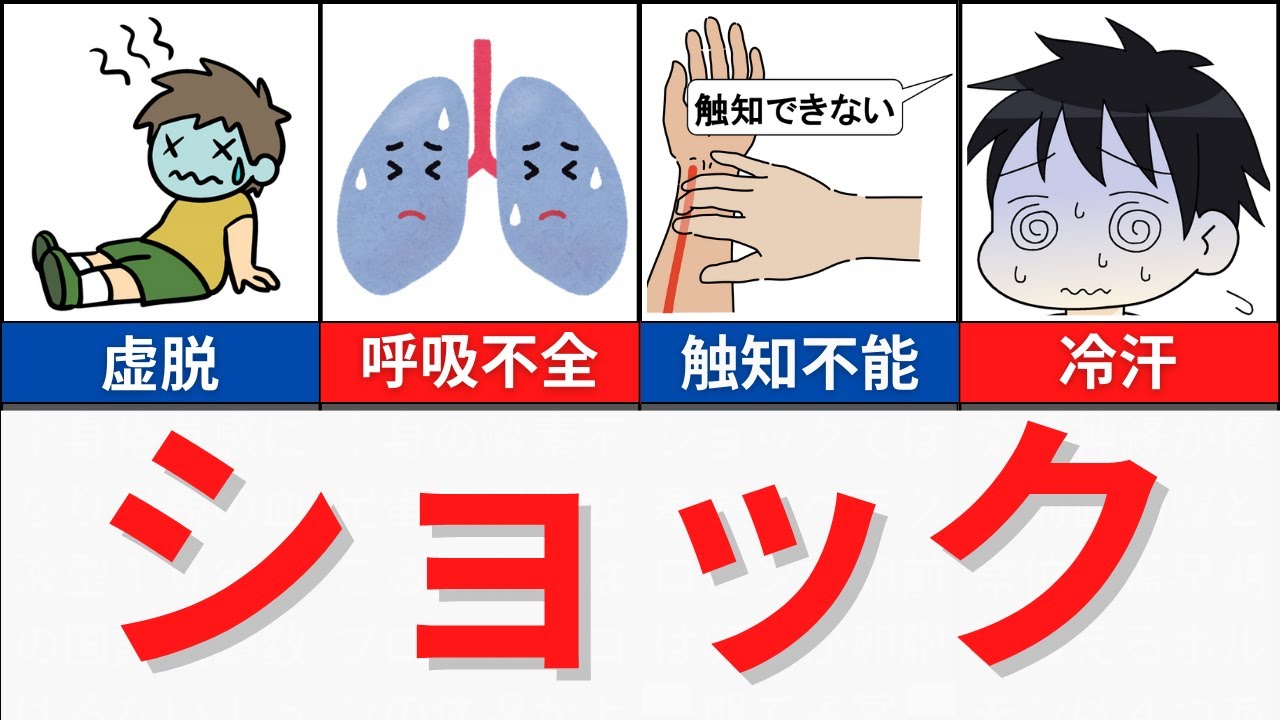 【7分で解説、27分で国試問題】ショックの徴候について解説