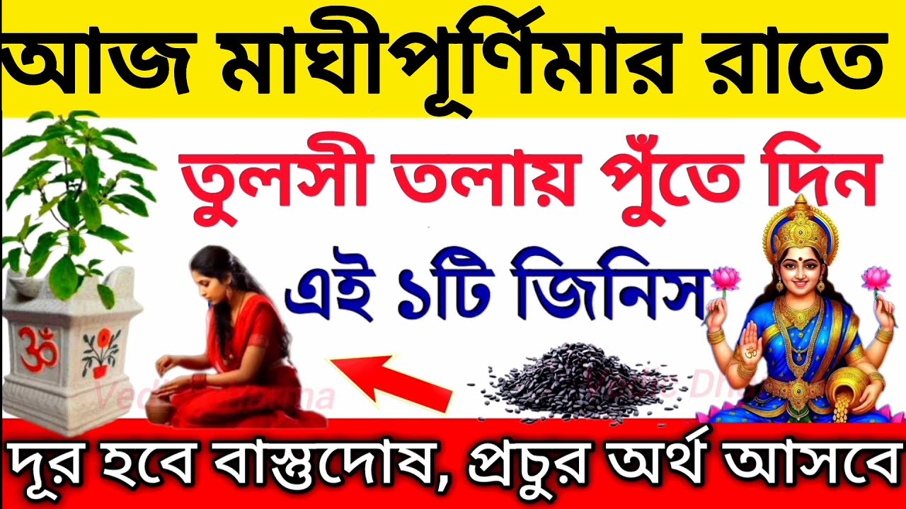 মাঘী পূর্ণিমার দিন তুলসী তলায় পুঁতে দিন এই ১টি জিনিস বাস্তুদোষ দূর হবে প্রচুর অর্থ আসবে।Purnima 2026