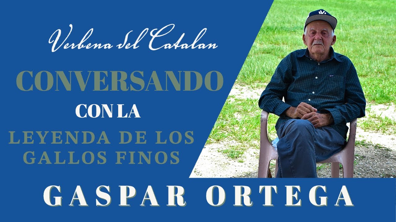 Conversando Con La Leyenda Del Gallo Fino - GASPAR ORTEGA