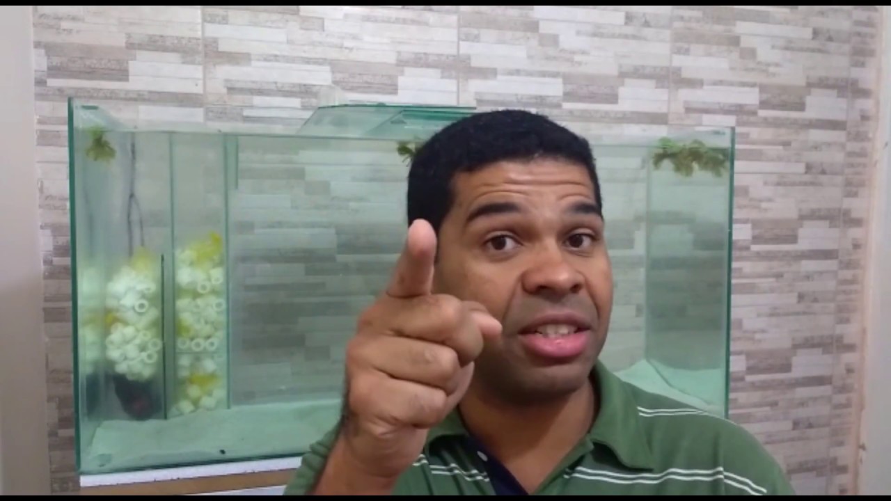 #03 PORQUE FAZER A CICLAGEM NO AQUÁRIO ANTES DE COLOCAR PEIXES