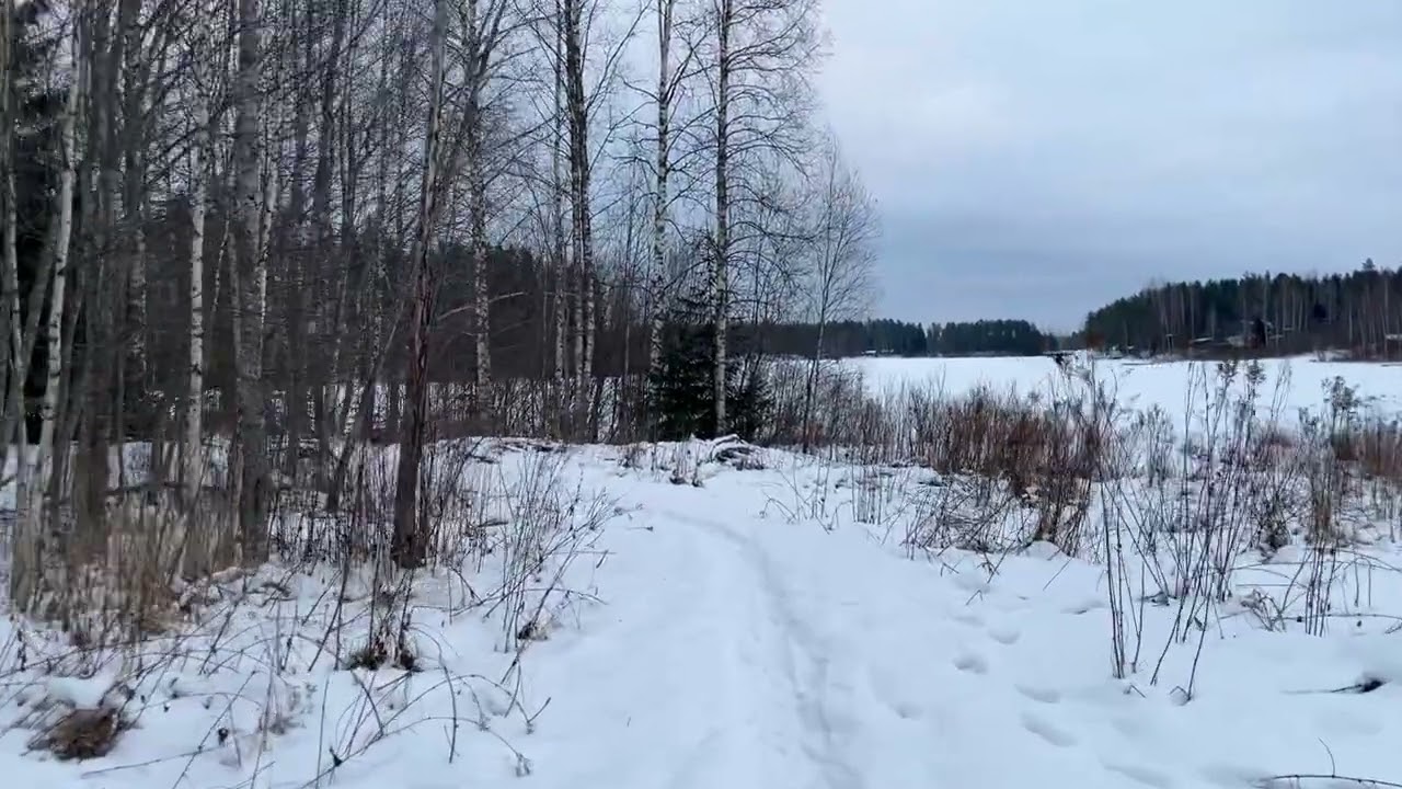 Walking SUNDAY 15.2.26 no talking just walking @slowTVFinland 