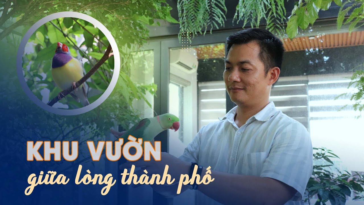 Choáng ngợp sân thượng biến thành lồng chim khổng lồ: Khu vườn giữa lòng thành phố