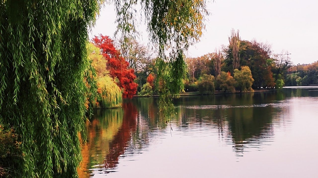 Indian In Romania | Episodes Coming Soon | Promo - 1 | Muralis Vlog