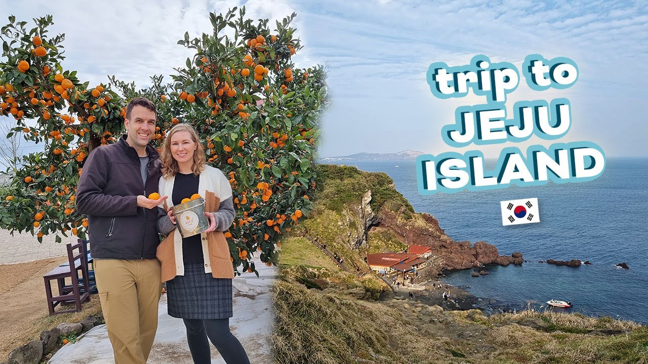 tangerine picking, good eats, + hiking 🍊🌴 Trip to Jeju Island, Korea