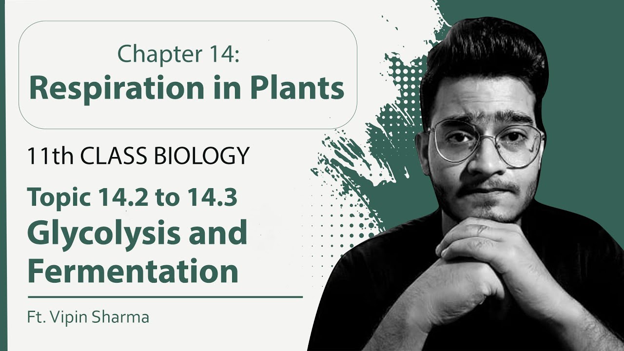Topic 14.2 & 14.3: Glycolysis and Fermentation | Respiration in Plants | NCERT Session by Vipin Sir