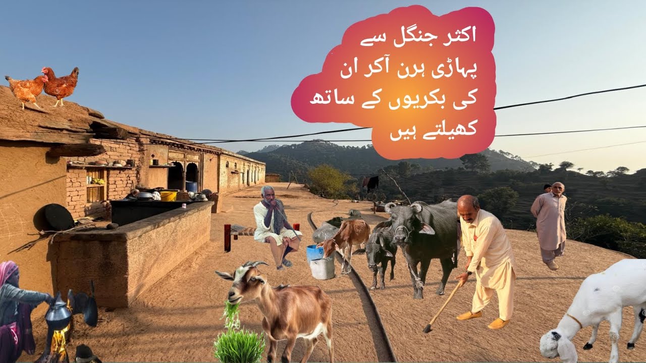 Mountain Village Life in Azad Kashmir