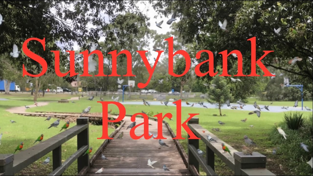 Sunnybank Park , Brisbane Queensland Australia…