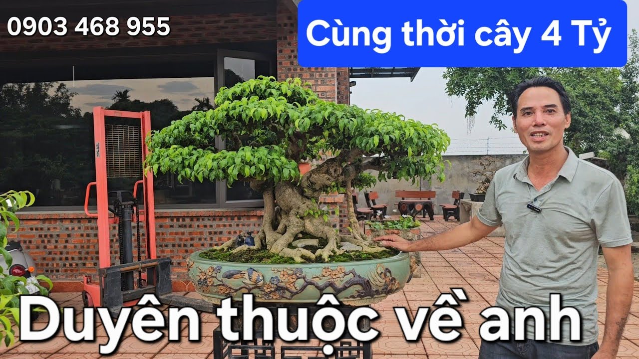 Anh Chí mua được cây quý về mà vui sướng khó tả