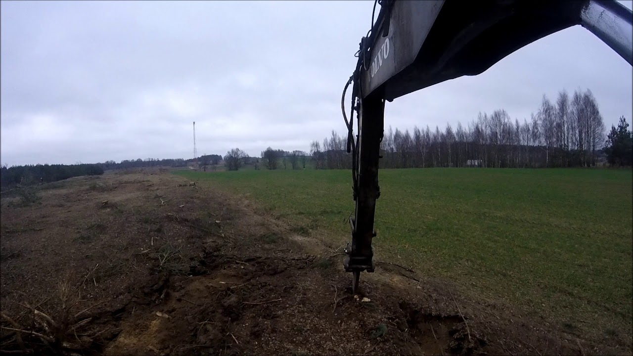 Karczowanie korzeni po samosiewach