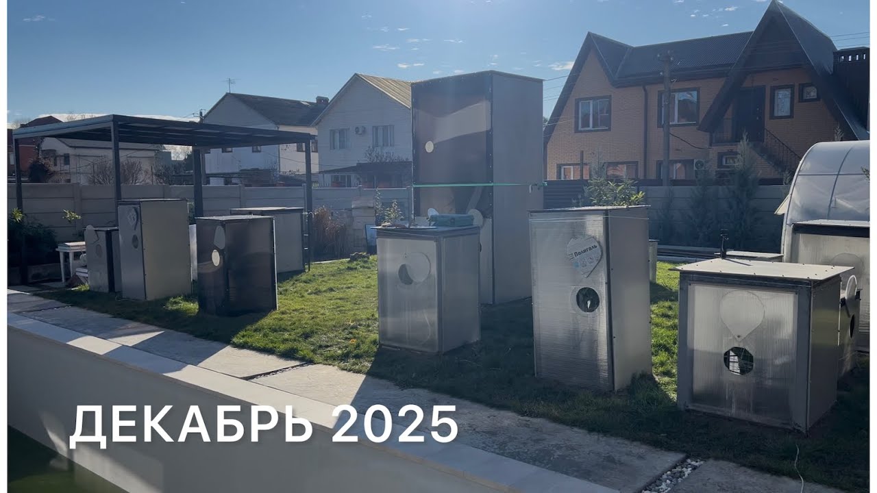 Укрытие пальм зимой 🌴☃️Декабрь 2025