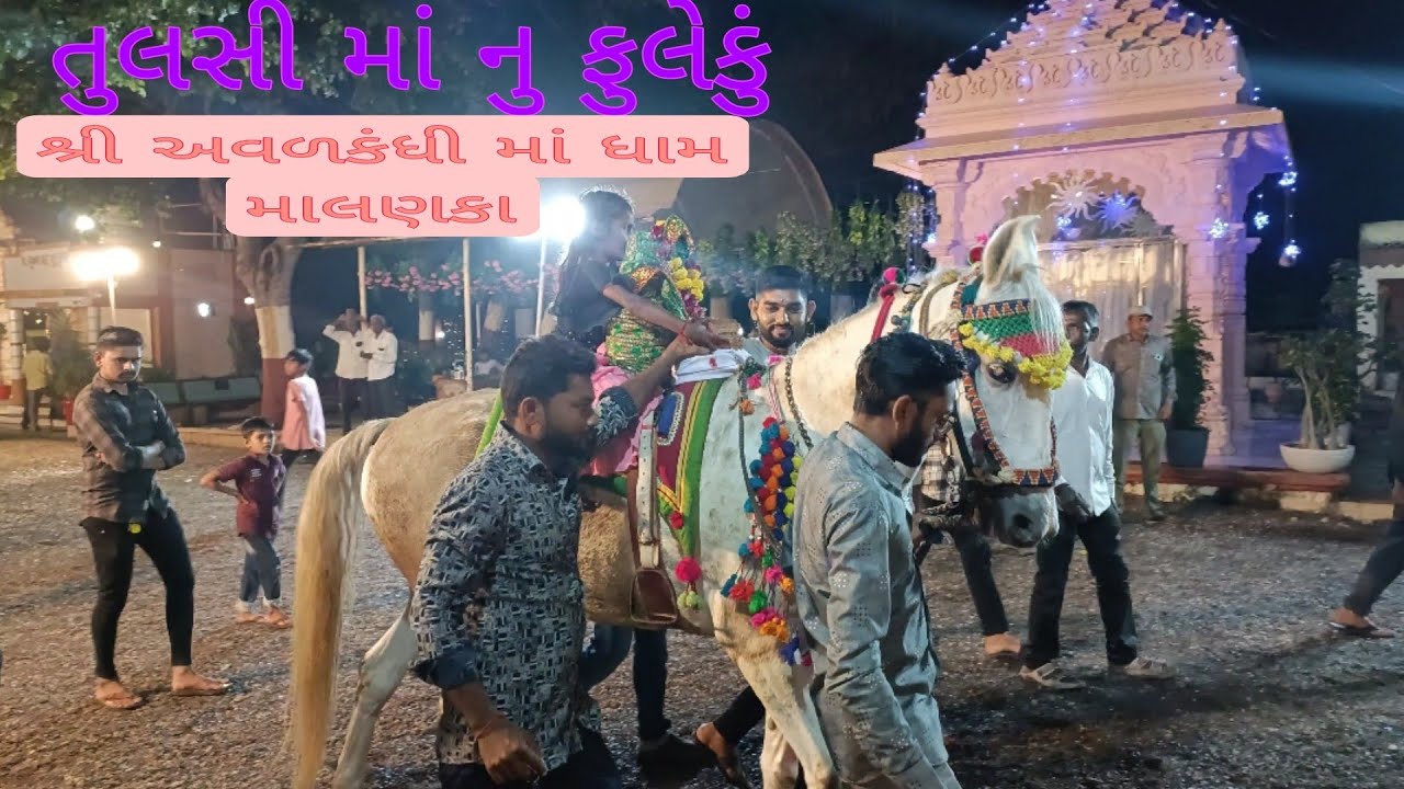 તુલસી માં નુ ફુલેકું શ્રી અવળકંધી માં ધામ માલણકા 🙏🚩🙏