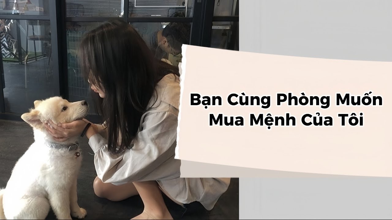Truyện Audio | Bạn Cùng Phòng Muốn Mua Mệnh Của Tôi | Leiko Audio