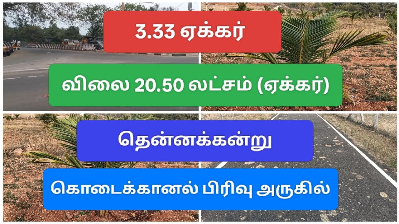 9944579660/தேனி மாவட்டம்/ தேவதானப்பட்டி அருகில்/ 3.33 ஏக்கர்/விலை 20.50 லட்சம்(ஏக்கர்)/ தென்னங்கன்று