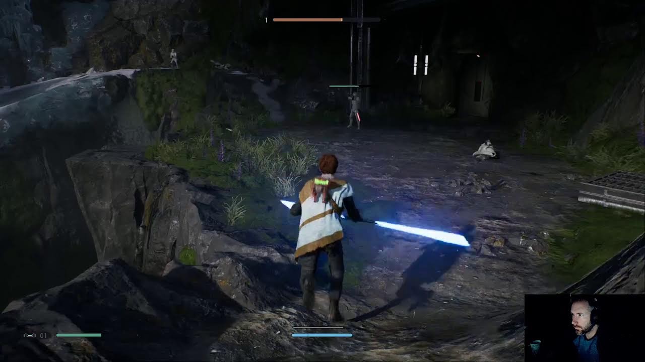 FALLEN ORDER