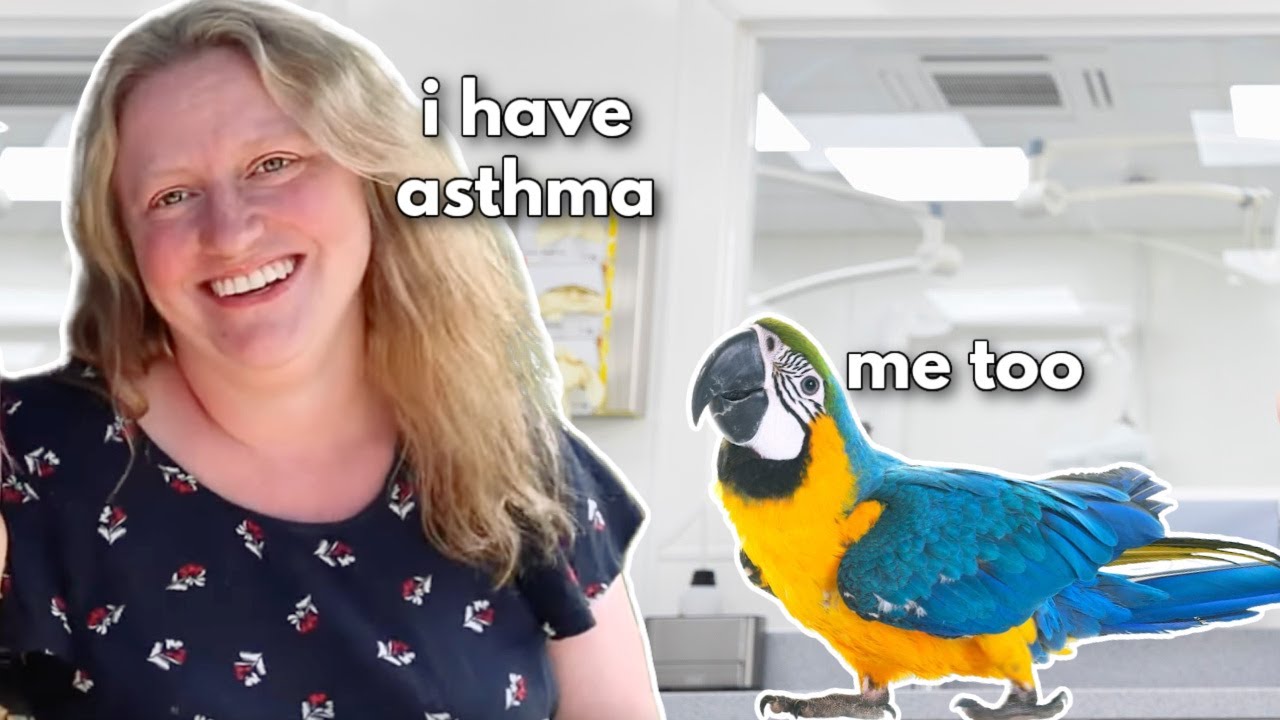Asthma in Birds | Feat. Matt Gosbell and Mel Vincent