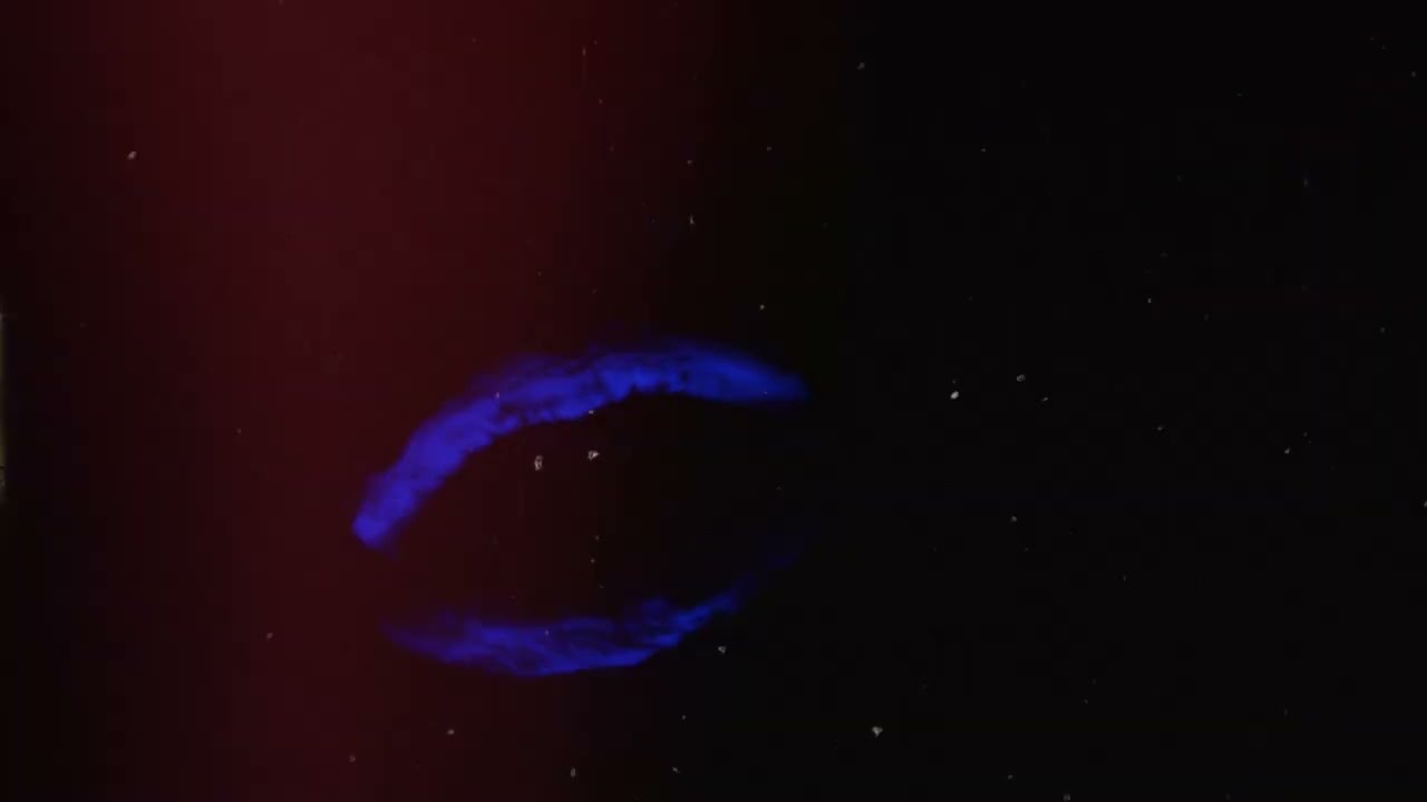 Hega - Black Holes