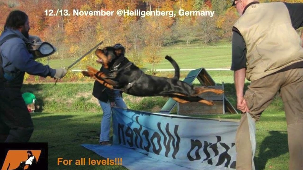 Oliver Neubrand helper Work shop 2022