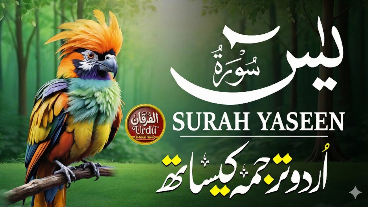 Surah Yasin | Surat Yaseen with Urdu Translation | Quran Tilawat Beautiful Voice | Hindi Tarjuma