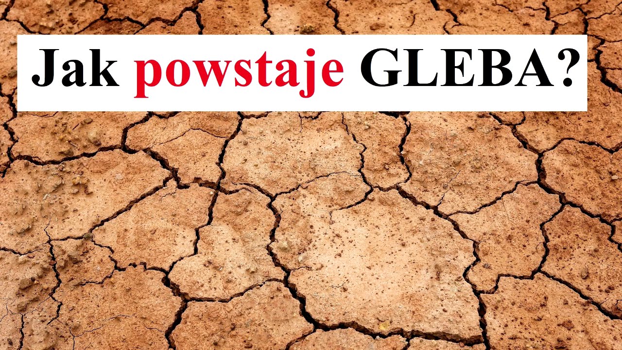Jak POWSTAJE Gleba