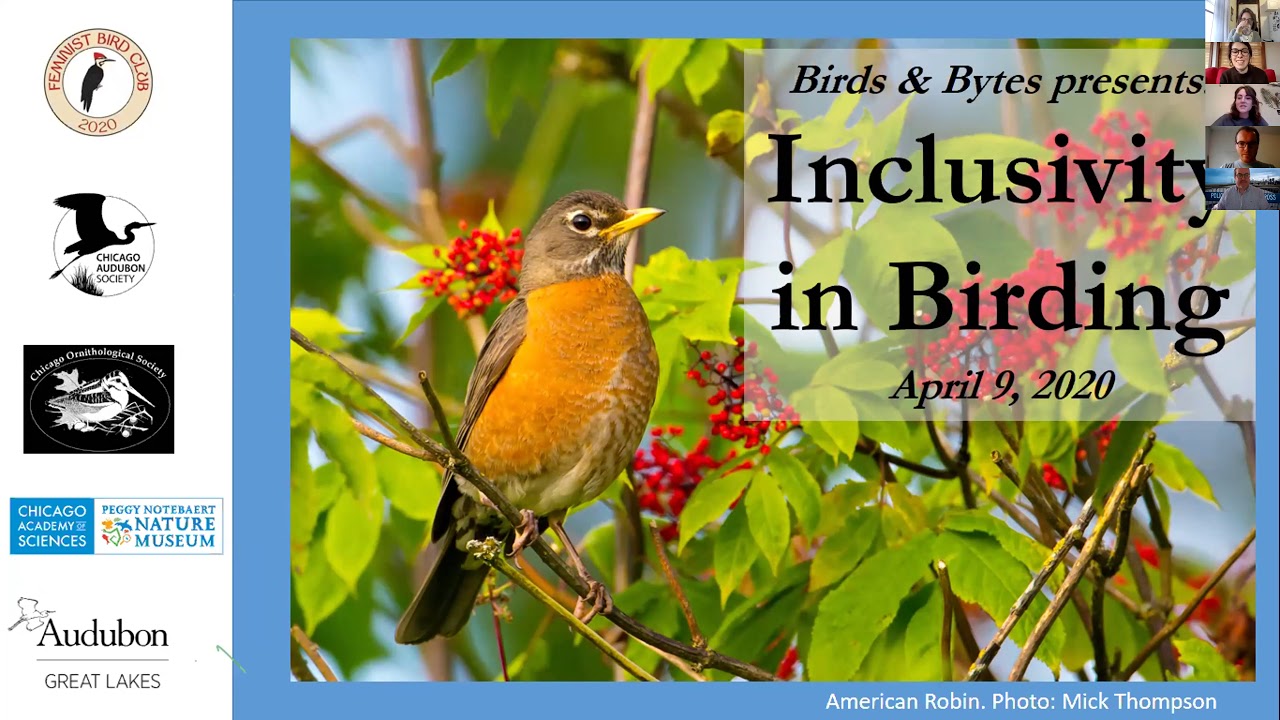 Inclusivity in Birding