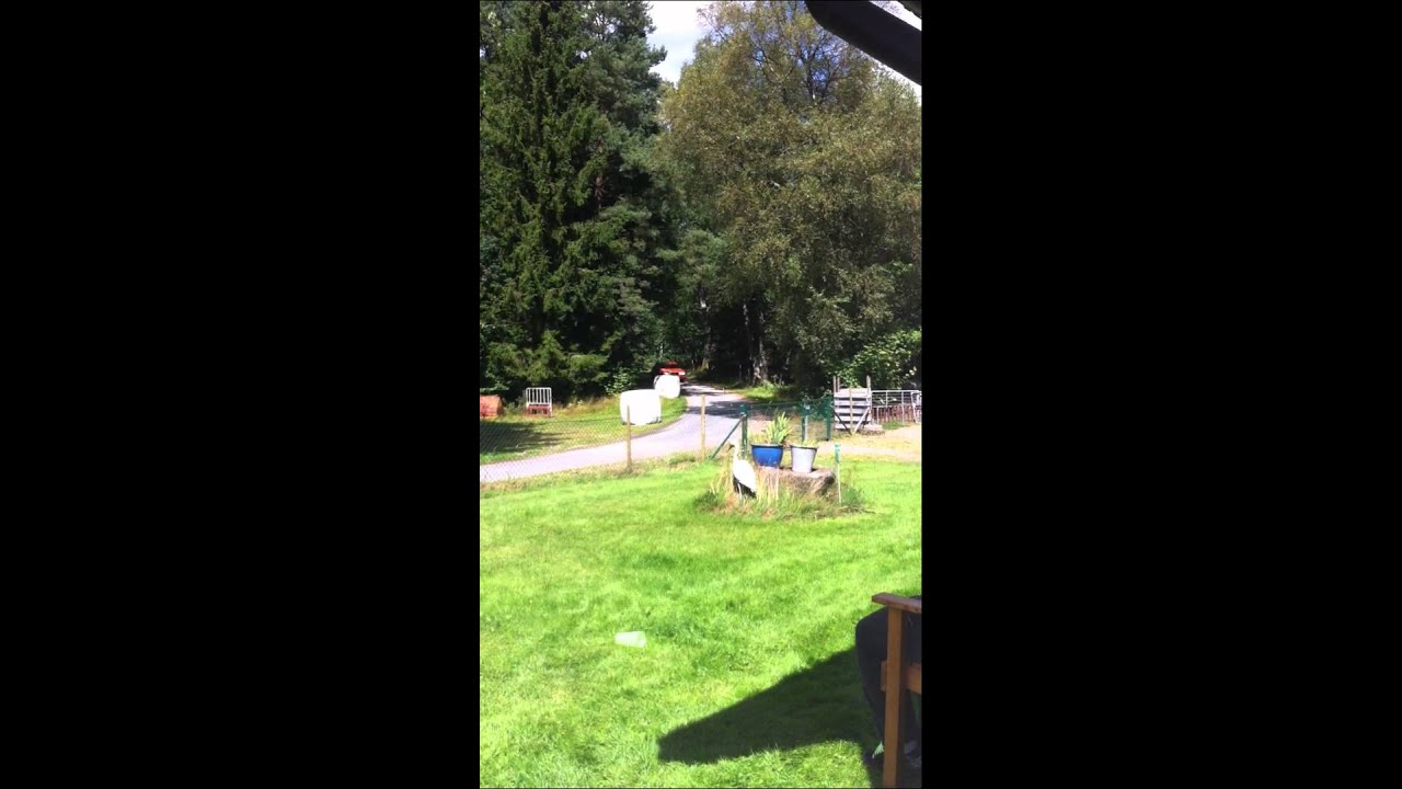 SNAPPHANERALLY 2012 (18)