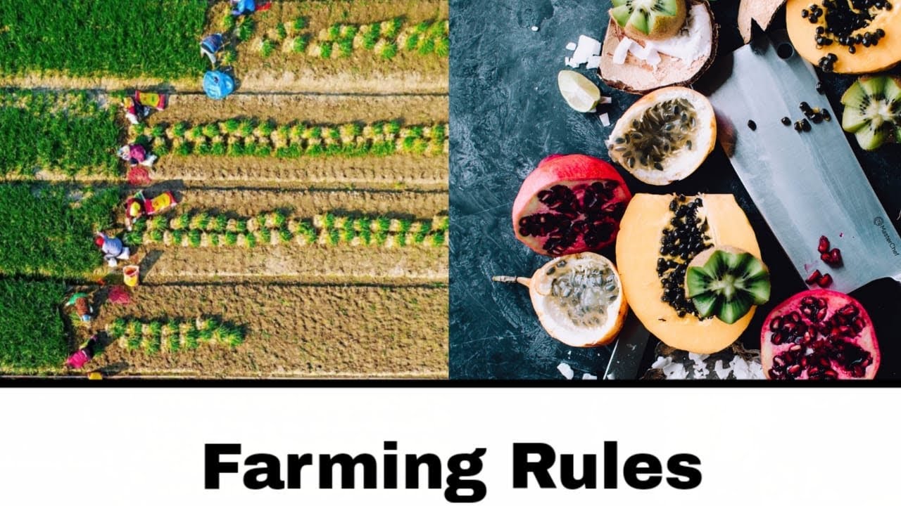 ಪ್ರತಿಯೊಬ್ಬ ರೈತರು ಈ ನಿಯಮಗಳನ್ನು ಪಾಲಿಸಬೇಕು | Thumb Rules for Farming DARVI GROUP
