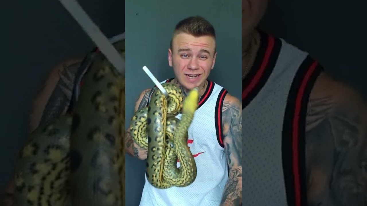 Jaki wąż może Cie zjeść?