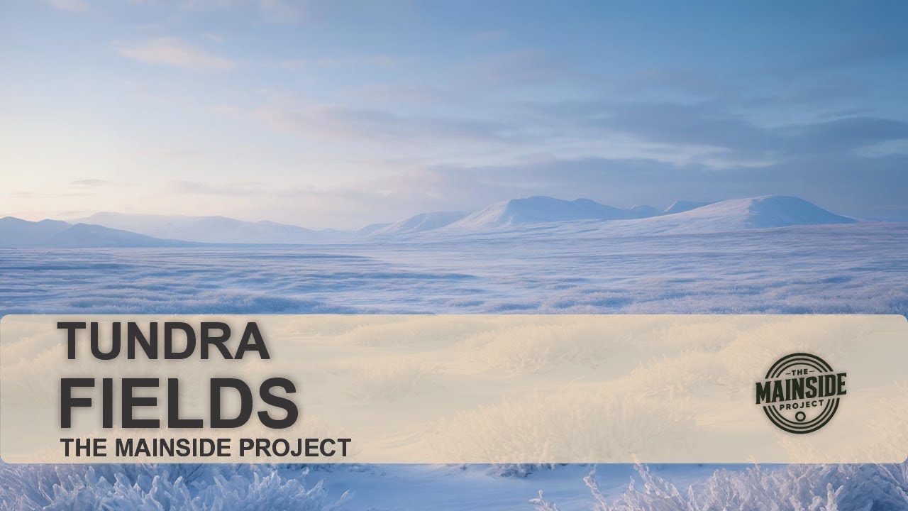 The Mainside Project - Tundra Fields