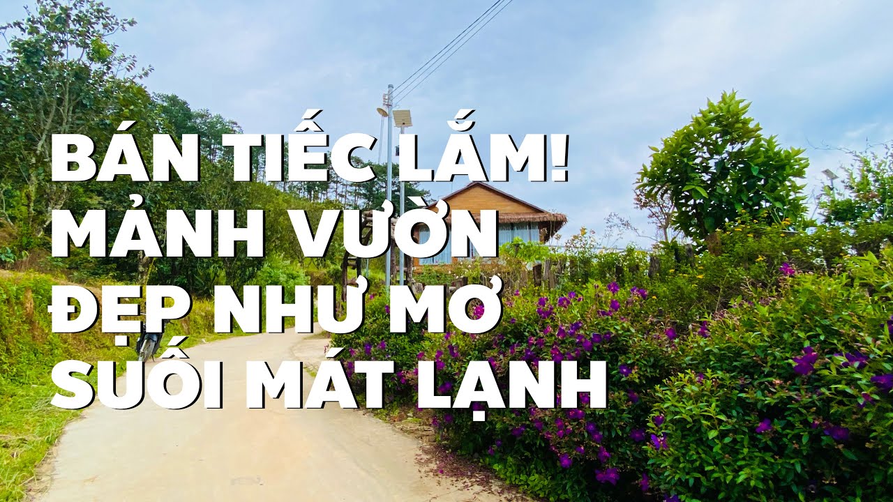 Tin nỗi ko? Vườn trái cây ven suối hơn 5000m2 gần Đà Lạt chỉ hơn 1 tỷ (ĐÃ BÁN)