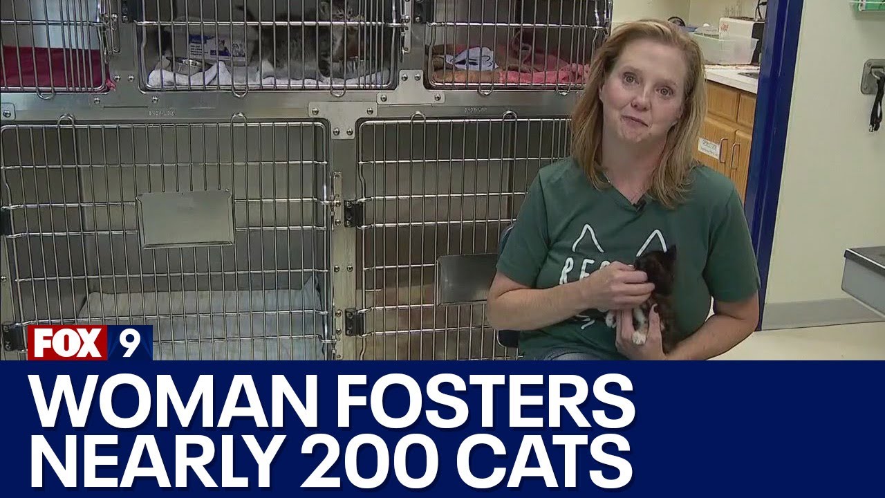 Kelly’s Community Champions: One purrfect recipient I KMSP FOX 9