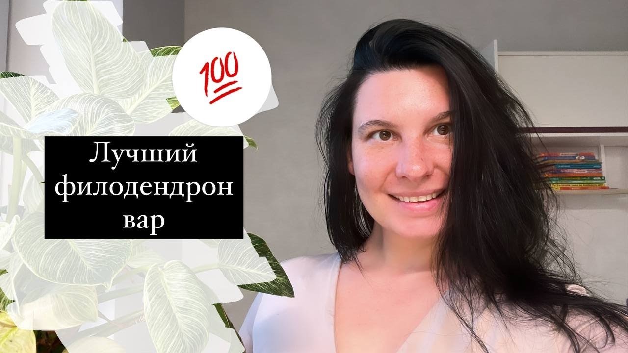 Лучшие комнатные растения для квартиры: лучший филодендрон вар