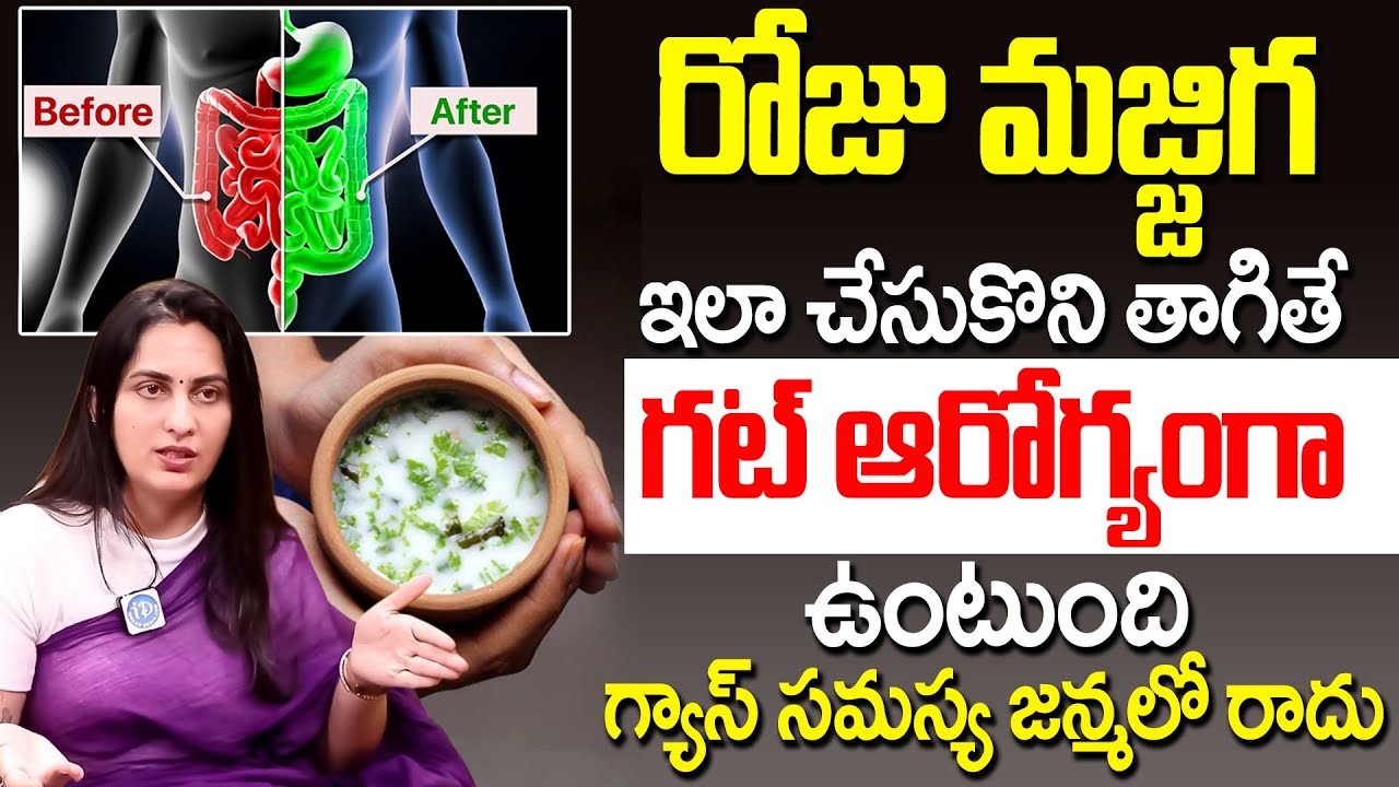రోజు మజ్జిగ ఇలా తీసుకుంటే గట్ ఆరోగ్యంగా ఉంటుంది | Food to Improve Gut Health | Dr Kavya Dendukuri