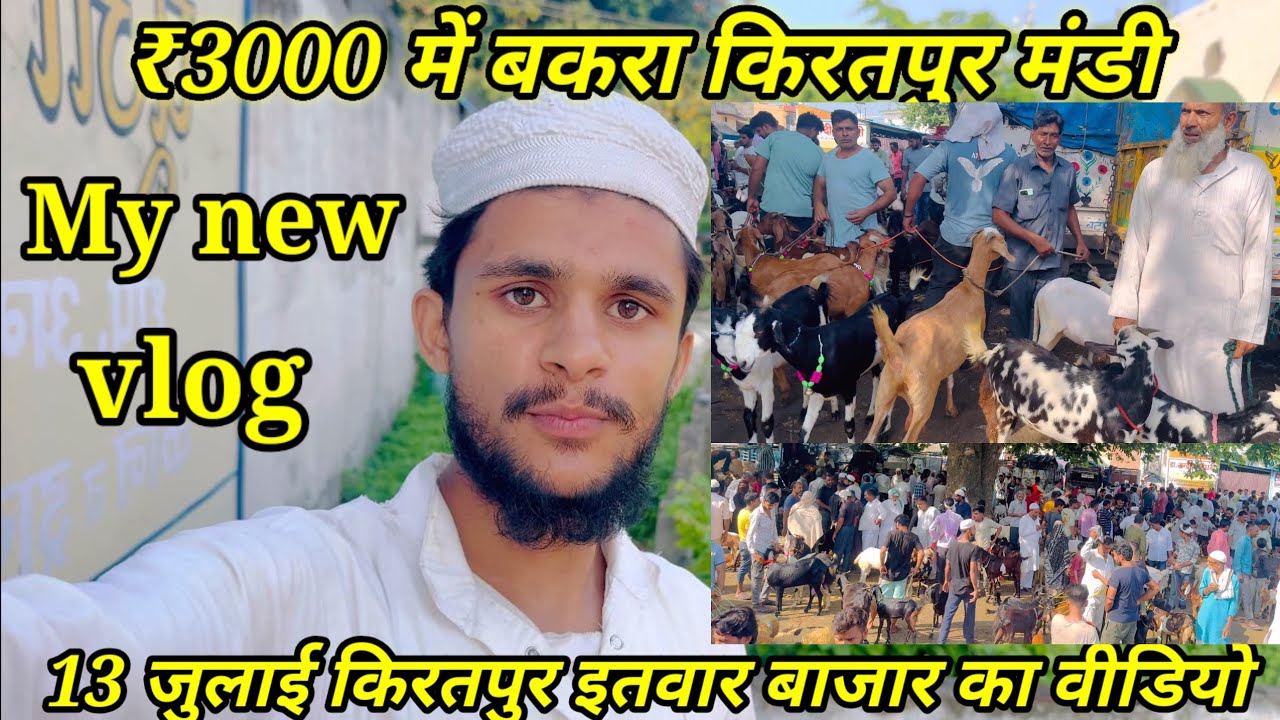 बकरा मंडी किरतपुर इतवार बाजार का वीडियो|| राजस्थानी बकरा|| इतवार बाजार का वीडियो|| किरतपुर ||