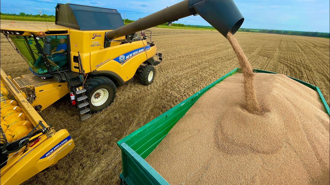 Жнива 2022 закінчено💪врожай неймовірний👍
